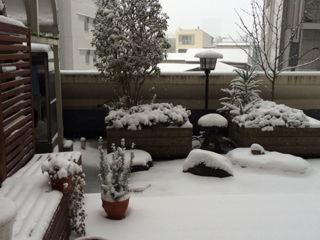 image-20140208154501.png